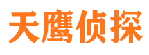 北流侦探公司